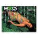 Moods Dotted Condom (Pack of 10)