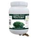 Herbal Hills Moringa - Value Pack 700 Tablets