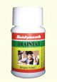 Baidyanath Braintab 50tablets