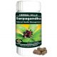 Herbal Hills Sarpagandha - 60 Capsule