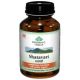 Shatavari 60 Capsules Bottle